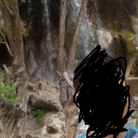خریدوبرش چوب