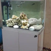 اکواریوم k800درحد