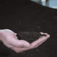 کود کمپوست غنی و ارگانیک