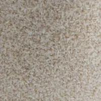 نیم دانه هاشمی سورتینگ|خوردنی و آشامیدنی|سنگر, |دیوار