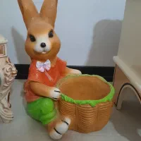 گلدون خرگوشی