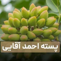 فروش انواع نهال های میوه مرغوب و با کیفیت