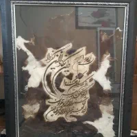 قاب ان یکاد با پوست طبیعی زیبا و تمیز