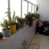 فروش خانه ویلایی ۱۳۷ متری ۲ خوابه|فروش خانه و ویلا|کازرون, |دیوار