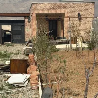 باغچه سند تک برگ