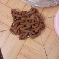 زنجیر به فروش می رسد