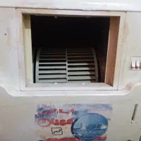 کولرابی سالم باپایه