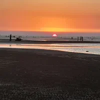 یک عدد اتکت  بنام داود هدایی گم شده