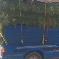 پرس یونجه درجه ۱