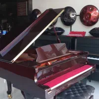 پیانو آکوستیک به قیمت پیانو دیجیتال