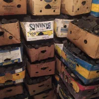 زغال انگور و سنتی وصنعتی کبابی بابرش و بدون برش|عمدهفروشی|تهران, مسعودیه|دیوار