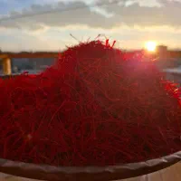 زعفران درجه یک امسالی