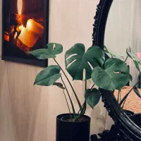 واحد-مبله-دربست-ارزنده-روزانه-تا-ماهانه-هاشمیه