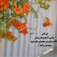 راهنمایی کنید از فاریاب