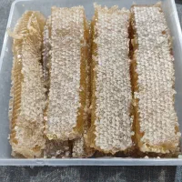 فروش عسل طبیعی صددرصد طبیعی و ارگانیک تضمینی