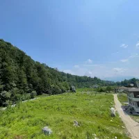 فوری/ سوددهی بالا/ منطقه توریستی تنکابن/فول|فروش زمین و ملک کلنگی|خرمآباد (تنکابن), |دیوار