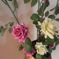 گلهای خارجی وگلدان