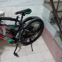 دو چرخه آلپینو|دوچرخه، اسکیت، اسکوتر|فردیس, نگارستان|دیوار