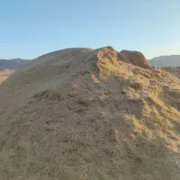 کاه گندم و جو