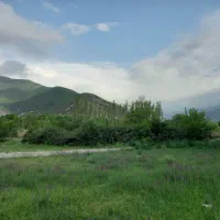 زمین کجور صالحان