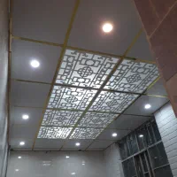 استخدام
