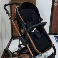 کالسکه اسپرینگ|کالسکه و لوازم جانبی|گرمدره, |دیوار