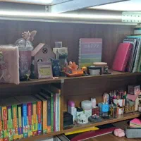 تخت دو طبقه|تخت و سرویس خواب|همدان, |دیوار