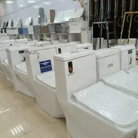 فرنگی توالت .(سادات -منتخب) دوفلاشه