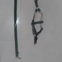 قلاده سگ کمری پلیسی آلمانی