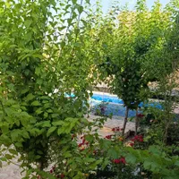 باغ ویلاداخل بافت،استخرآبگرم آب گازبرق،توس97معاوضه|فروش خانه و ویلا|مشهد, لقمانی|دیوار
