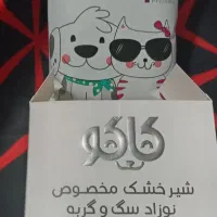 گربه وسگ توجه توجه