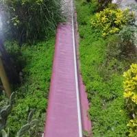 سایه بان مغازه|فروشگاه و مغازه|کلاچای, |دیوار