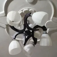 وسایل منزل|حراج|کرمان, |دیوار