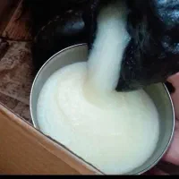 روغن حیوانی هورامان|خوردنی و آشامیدنی|کامیاران, |دیوار