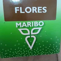 بذر چغندر فلورس