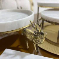ظروف پذیرایی