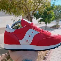 کفش|کیف، کفش، کمربند|شیراز, شیشهگری|دیوار