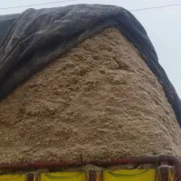 کاه نیشکر2800