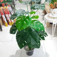 درختچه مصنوعی برگ انجیری و پرنده بهشتی/ نو