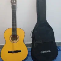 گیتار دیاموند