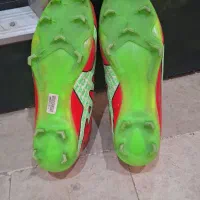 کفش چمن استوک دار|تجهیزات ورزشی|مشهد, کوشش|دیوار