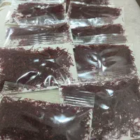 فروش زعفران اصل قائنات اصالت ما اعتبار ماست