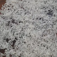 برنج طارم محلی و فجرسوزنی گرگان