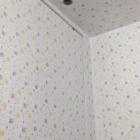 ضدزنگ و رنگ در حیاط ساختمان کابینت سایبان و...|خدمات پیشه و مهارت|دوگنبدان, |دیوار