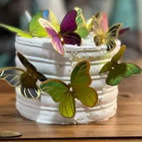 استخدام ابدارچی