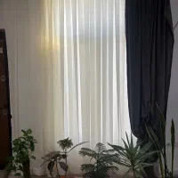 پرده|پرده، رانر، رومیزی|سیرجان, |دیوار