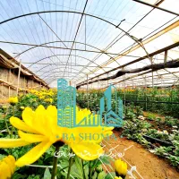 ۷ هزار متر گلخانه/فول/۶هزارمتر سالن/چسبیده به شهر