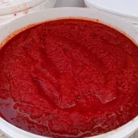 رب گوجه خانگی