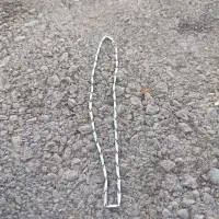 گردنبند رنگ ثابت|بدلیجات|زرند, |دیوار