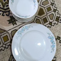 فروش سرویس چینی زرین